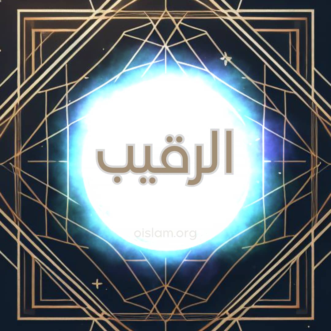 Al Raqib (الرقيب) O Vigilante