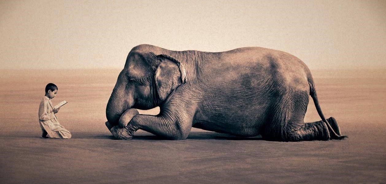A História do Povo do Elefante