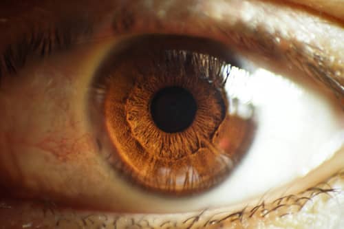 Doenças oculares e seus Tratamentos