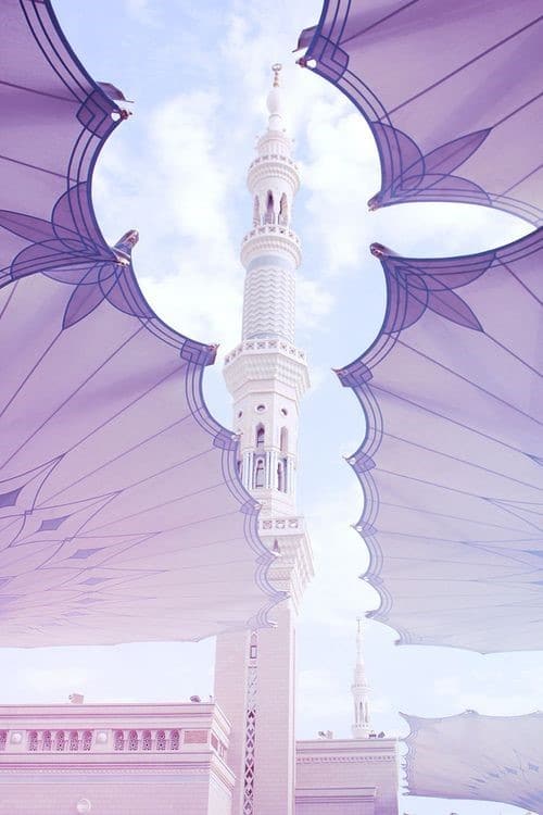 Os Direitos do Mensageiro de Allah