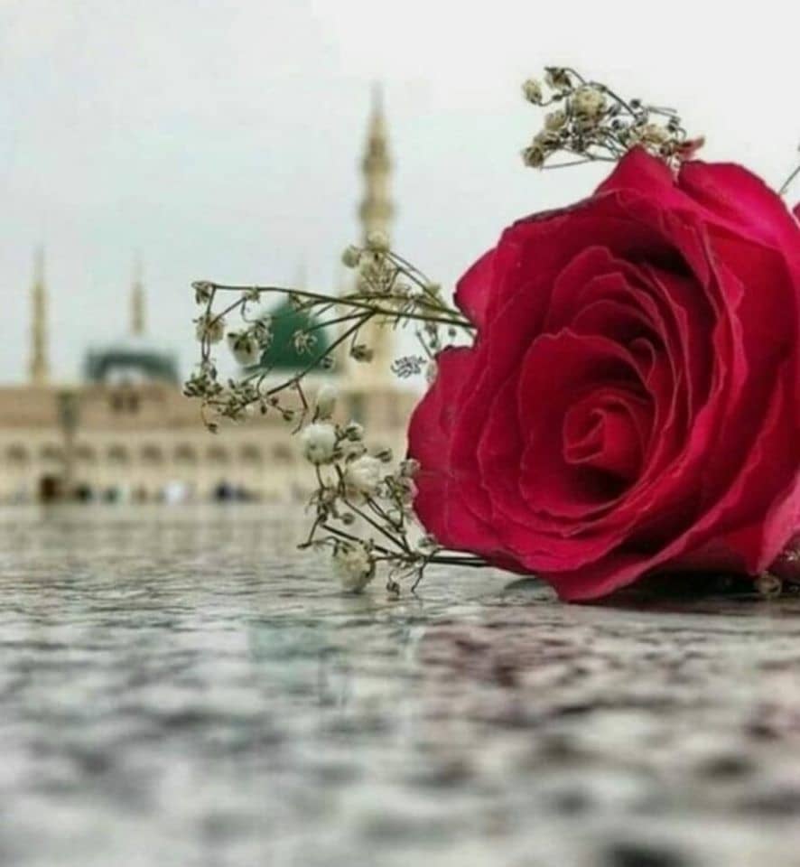 Shahada: 6 Condições para a Afirmação “Muhammad é o Mensageiro de Allah"